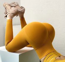 Load image into Gallery viewer, High Waisted Fitness Leggings