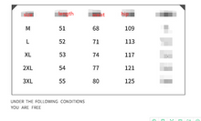 Load image into Gallery viewer, Summer Distressed Cotton Sweatshorts